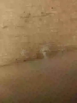 skrigul12 online show from December 5, 2024, 3:31 am