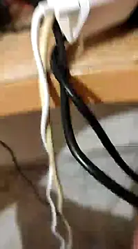 skrigul12 online show from December 28, 2024, 1:38 pm