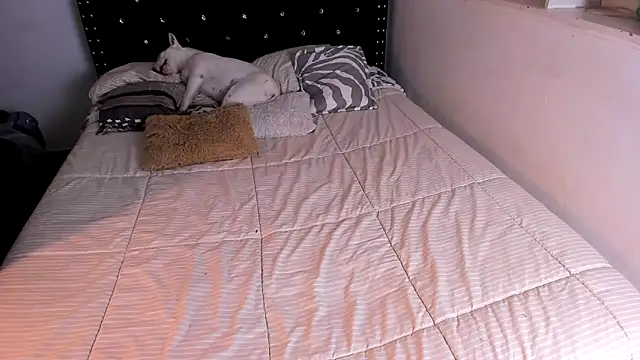 valerie luxe  online show from June 4, 2026, 5:34 am