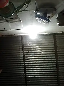 Andreita 95 online show from March 12, 2026, 2:10 pm