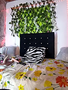 any mour online show from February 4, 2026, 5:19 pm