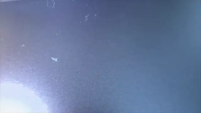 MyPhoenix online show from April 15, 2026, 6:52 am