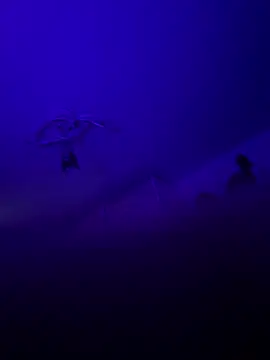 1ninefellababy online show from January 10, 2026, 10:43 am