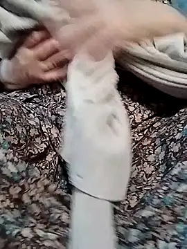 Snapshot of _BaHaR_ chatting on October 23, 2025, 10:25 am  BaHaR  online show from October 23, 2025, 10:25 am