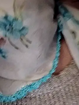 Snapshot of _BaHaR_ chatting on September 21, 2025, 8:19 am  BaHaR  online show from September 21, 2025, 8:19 am