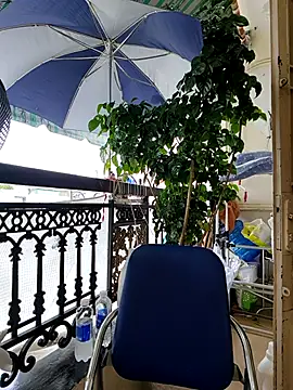 Snapshot of lyna_bl chatting on October 7, 2025, 4:02 am lyna bl online show from October 7, 2025, 4:02 am