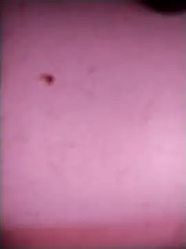 Snapshot of bisexualboy05 chatting on September 20, 2025, 7:46 am bisexualboy05 online show from September 20, 2025, 7:46 am