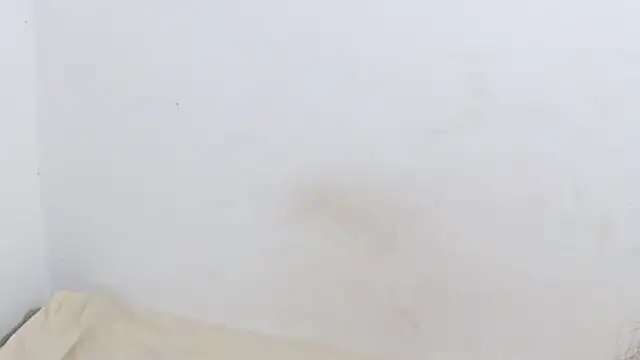 Snapshot of Adara_cooper22 chatting on October 9, 2025, 9:21 am Adara cooper22 online show from October 9, 2025, 9:21 am