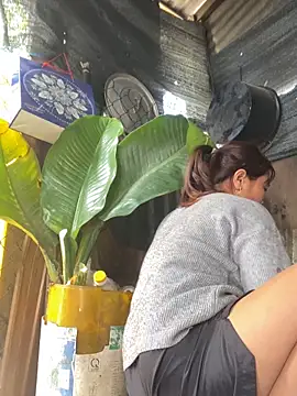 Linaannn online show from February 3, 2026, 6:51 am