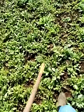 murokkk31 online show from April 6, 2026, 6:25 am