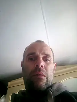 Dorset8360 online show from March 17, 2025, 1:50 pm