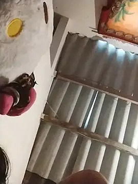 AlexaWarner online show from November 13, 2025, 4:00 pm