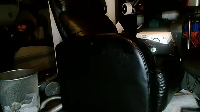 Snapshot of Gigadickman chatting on January 2, 2025, 2:54 am Gigadickman online show from January 2, 2025, 2:54 am