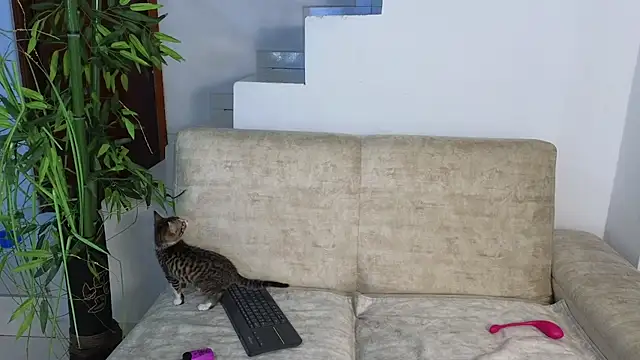 Snapshot of Lorenne_Miller chatting on October 20, 2025, 3:30 am Lorenne Miller online show from October 20, 2025, 3:30 am