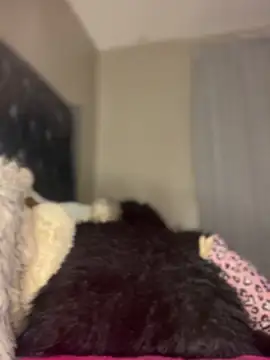 Tiny 1803 online show from February 22, 2025, 7:03 pm
