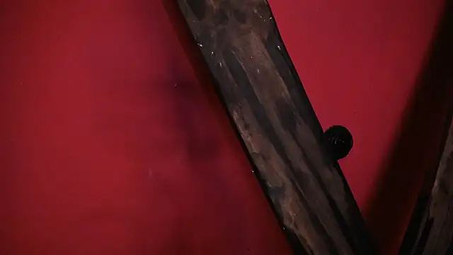 EVADANGERBDSM online show from February 14, 2025, 3:05 pm