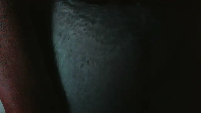 soHardfull online show from June 1, 2026, 2:34 am