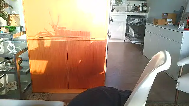 costanza7070 online show from December 15, 2025, 12:05 am