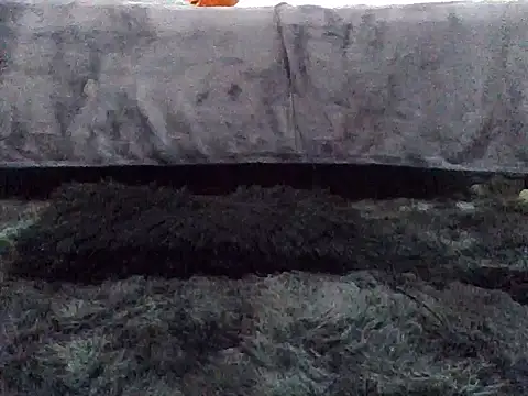 Snapshot of Gibbzmx chatting on September 19, 2025, 6:56 pm Gibbzmx online show from September 19, 2025, 6:56 pm