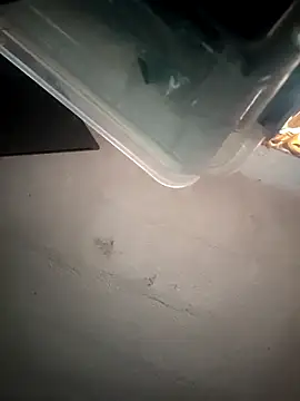 VL25DN26 online show from March 9, 2026, 2:09 pm