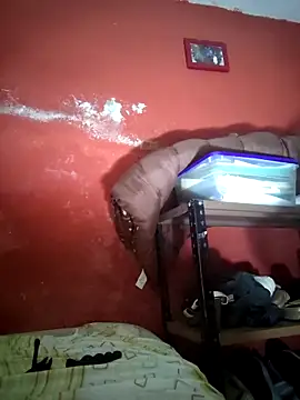 VL25DN26 online show from December 19, 2025, 9:44 am