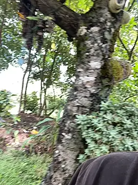 FlpGmz online show from October 15, 2025, 4:04 pm