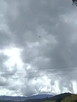 Cuervo maniaco online show from November 16, 2025, 5:17 pm