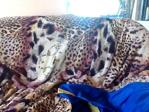 sellvageria online show from September 21, 2025, 3:50 pm