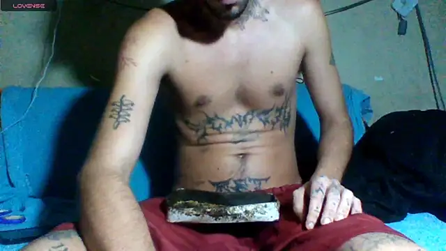 sellvageria online show from March 12, 2026, 2:28 am