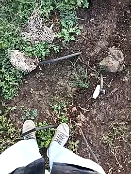 sexy yashu 006 online show from November 7, 2025, 11:37 am