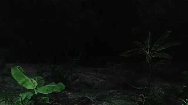 Snapshot of andreu_mature chatting on October 1, 2025, 11:08 pm andreu mature online show from October 1, 2025, 11:08 pm