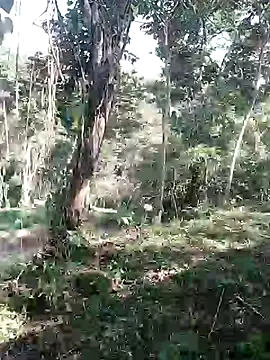 andreu mature online show from February 11, 2026, 8:31 pm