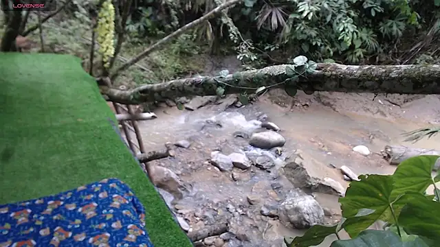 andreu mature online show from April 16, 2026, 9:39 pm