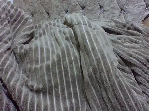 zoey10 online show from March 19, 2026, 11:54 am