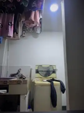 Emiily lee online show from April 1, 2026, 10:27 am