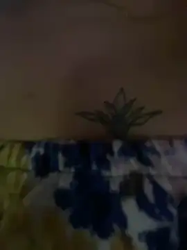 Emiily lee online show from February 2, 2025, 8:19 pm