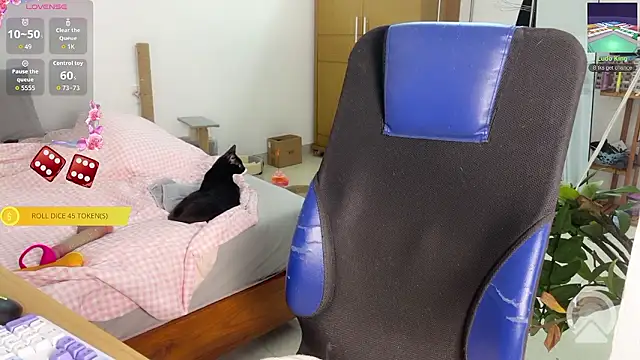 ashy 7999 online show from March 14, 2026, 12:44 pm