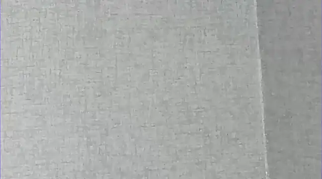 Ricardogo19 online show from March 1, 2025, 1:43 am