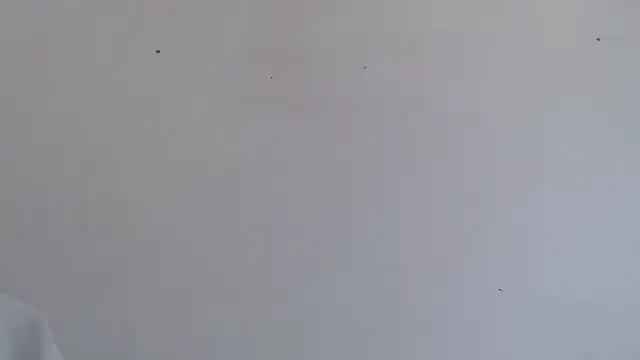 Snapshot of Niurca01_ chatting on October 16, 2025, 4:48 pm Niurca01  online show from October 16, 2025, 4:48 pm