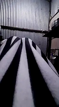 sandip-bhai online show from January 12, 2025, 4:18 pm