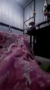 sandip-bhai online show from January 24, 2025, 7:49 pm