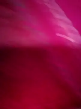 Snapshot of Cute_Suhani chatting on September 21, 2025, 12:43 pm Cute Suhani online show from September 21, 2025, 12:43 pm