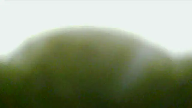 Jennys room 77 online show from November 16, 2025, 12:04 am