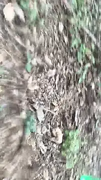 lustboyX online show from April 5, 2026, 9:38 am