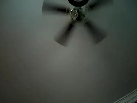 ThicBunz online show from September 9, 2025, 2:48 pm