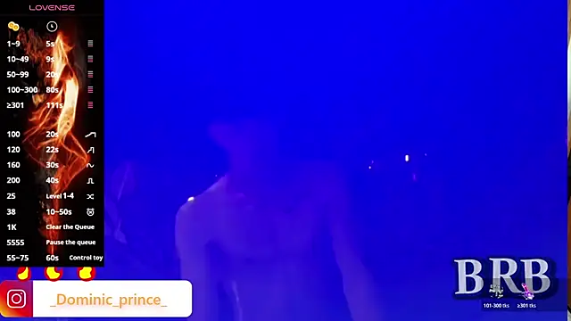 Snapshot of DominicPrince chatting on November 10, 2025, 12:10 pm DominicPrince online show from November 10, 2025, 12:10 pm