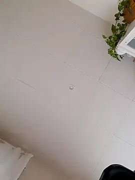 Greacky online show from December 14, 2024, 12:01 pm