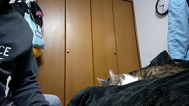 07YUKIO online show from April 4, 2026, 12:34 pm