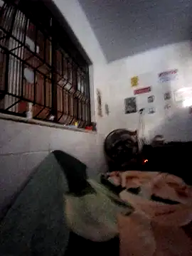 Zenfox24 online show from February 20, 2026, 12:29 pm