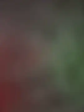 Snapshot of palomamoraid chatting on January 13, 2025, 4:51 pm palomamoraid online show from January 13, 2025, 4:51 pm